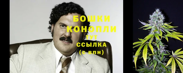 стаф Осинники