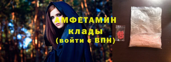 стаф Осинники