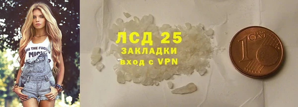 стаф Осинники