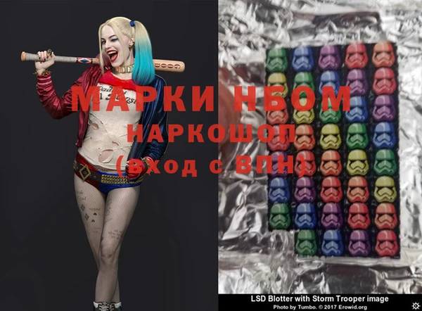 стаф Осинники