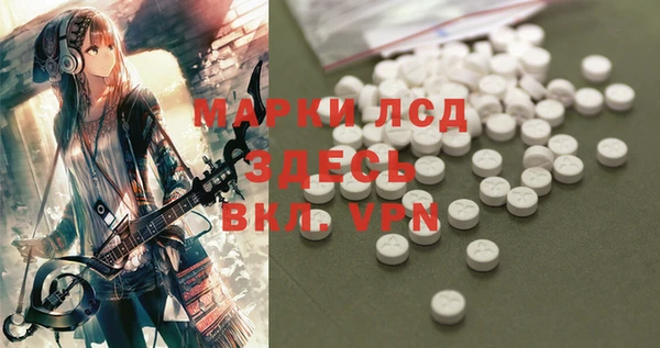 стаф Осинники