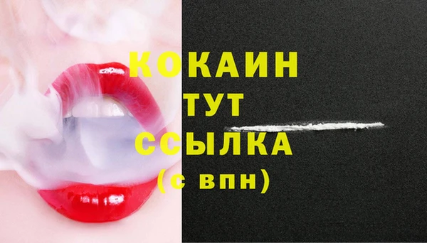 стаф Осинники