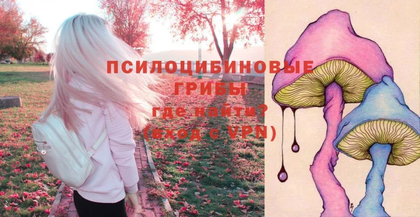 скорость Осташков