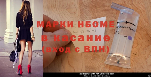 стаф Осинники