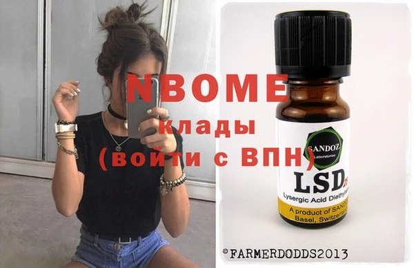 молекула духа Няндома