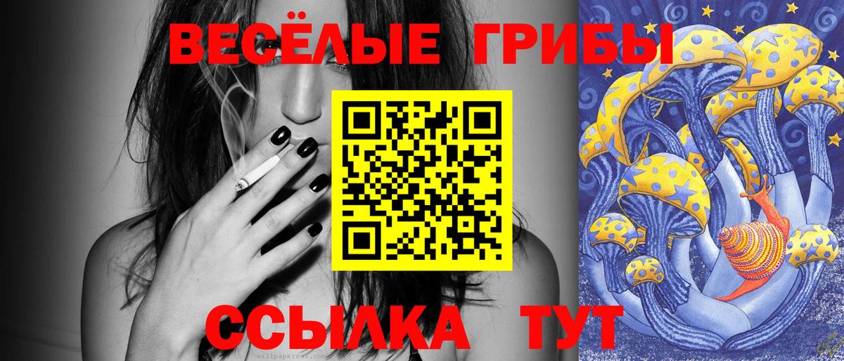 Галлюциногенные грибы Psilocybine cubensis  Вход с VPN  Шали 